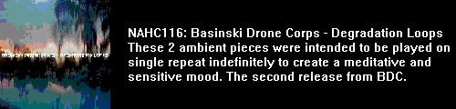 nahc116: swell ambient from basinksi drone corps